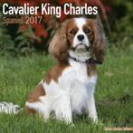 Kalender 2017 van de Cavalier King Charles Spaniel, Nieuw, Ophalen of Verzenden, Jaarkalender