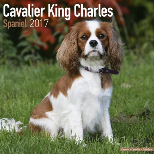 Kalender 2017 van de Cavalier King Charles Spaniel, Diversen, Kalenders, Nieuw, Jaarkalender, Ophalen of Verzenden