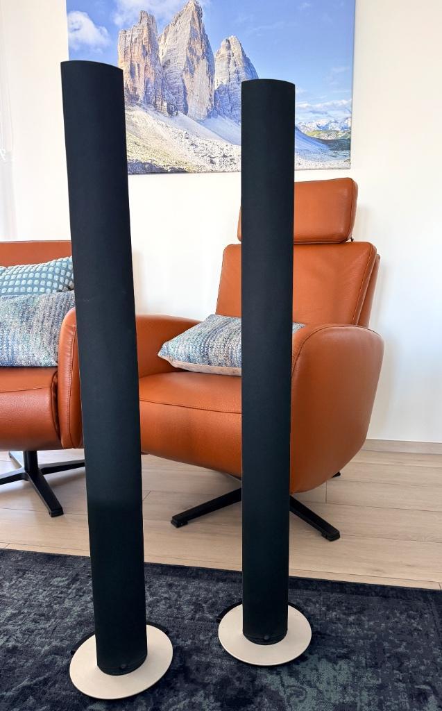 Mooie Beolab 6000 van Bang&Olufsen, Audio, Tv en Foto, Luidsprekerboxen, Gebruikt, Ophalen