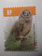 4218 Velduil - Hibou des marais MNH, Enlèvement ou Envoi, Non oblitéré
