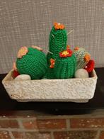 Bloeiende cactussen, soorten groen met oranjerode bloempjes, Ophalen, Nieuw, Haken, Wol of Garen