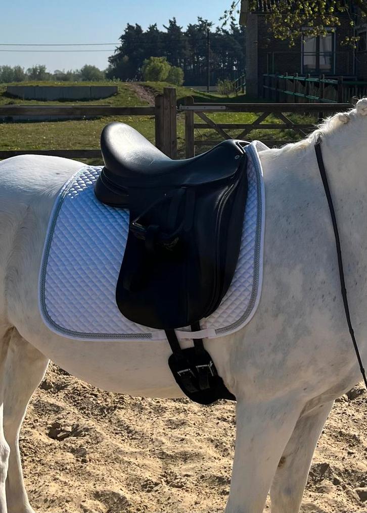 Bates Cair 17" dressuurzadel - verwisselbare voorboom, Dieren en Toebehoren, Paarden en Pony's | Zadels, Gebruikt, Ophalen