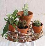 spiegelplaat 30 cm, Enlèvement ou Envoi