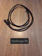 Longeerset paarden, Dieren en Toebehoren, Paarden