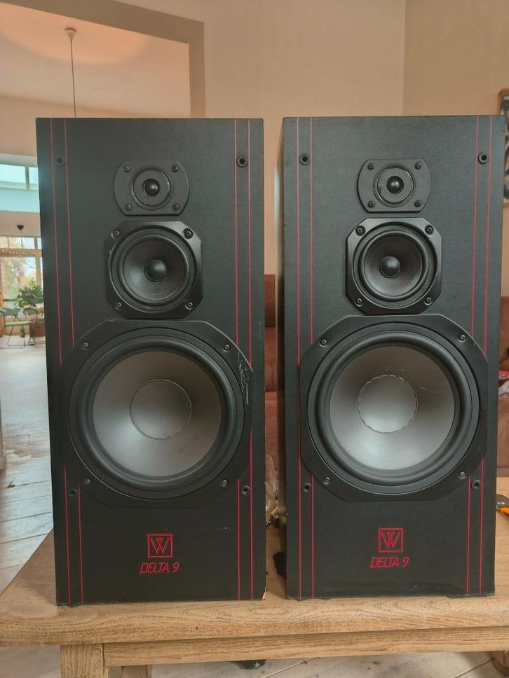 speakers Wharfedale DELTA9, Audio, Tv en Foto, Luidsprekerboxen, Zo goed als nieuw, Front, Rear of Stereo speakers, 120 watt of meer
