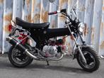 Nieuwe Project Dax Mat Zwart Rode Accenten, Nieuw, 4 versnellingen, 49 cc, Ophalen of Verzenden