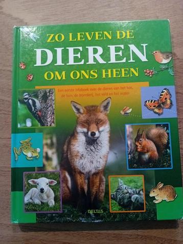 Boek - Zo leven de dieren om ons heen beschikbaar voor biedingen