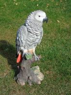 Beeld van een grijze papegaai uit Gabon, natuurlijke maat!!, Tuin en Terras, Nieuw, Kunststof, Ophalen of Verzenden, Dierenbeeld