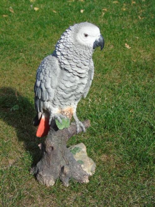statue d un perroquet gris du gabon, taille naturel !!, Jardin & Terrasse, Statues de jardin, Neuf, Animal, Synthétique, Enlèvement ou Envoi