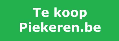 domeinnaam piekeren, Zakelijke goederen, Overige Zakelijke goederen, Verzenden