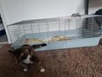 Konijnen kooi, Comme neuf, 110 cm ou plus, Furet, Cage