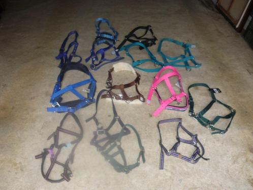 halsters paard en pony, Dieren en Toebehoren, Paarden en Pony's | Hoofdstellen en Tuigage, Nieuw, Recreatie, Ophalen