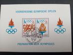 België Blok 53 gestempeld lot 228B, Postzegels en Munten, Postzegels | Europa | België, Ophalen of Verzenden, Gestempeld
