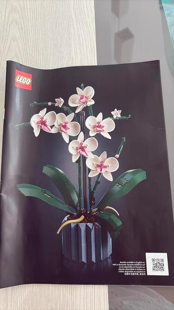 Lego botanical orchidee beschikbaar voor biedingen