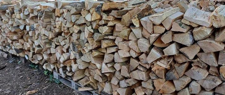 bois de chauffage Extra Sec de 2022, Jardin & Terrasse, Bois de chauffage, Bûches, Chêne, 6 m³ ou plus, Enlèvement