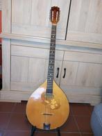 Bouzouki, Muziek en Instrumenten, Snaarinstrumenten | Overige, Ophalen, Gebruikt, Luit, Saz of Bouzouki