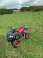 Chat pour enfants de plus de 12 ans, Vélos & Vélomoteurs, Mini Bikes, Midi Bikes & Pit Bikes, Enlèvement