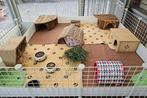 Caviakooi, Ophalen, Gebruikt, Kooi, Cavia