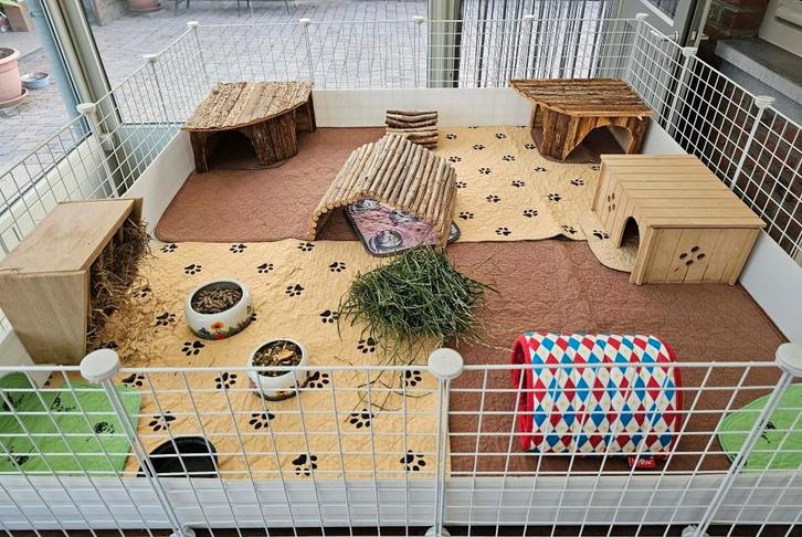 Caviakooi, Dieren en Toebehoren, Knaagdieren en Konijnen | Hokken en Kooien, Gebruikt, Kooi, Cavia, Konijn, Ophalen