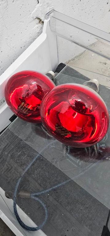 Philips Warmtelamp Infrarood 250 Watt

4 stuks prijs per stu beschikbaar voor biedingen