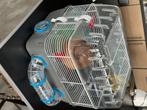 cage hamster russe, Animaux & Accessoires, Comme neuf, Hamster, Cage, Envoi