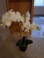 Orchidée artificielles, Maison & Meubles, Enlèvement ou Envoi, Neuf