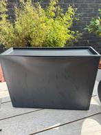 Ikea Trones (schoen)opberger, zwart, Ophalen