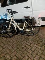 Oxford E-classico Negro Dk Ivoor, Ophalen