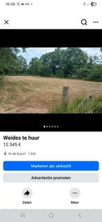 2 weides te huur in een rustige paardenstreek.