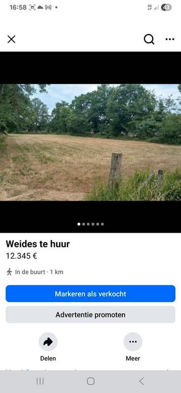2 weides te huur in een rustige paardenstreek.