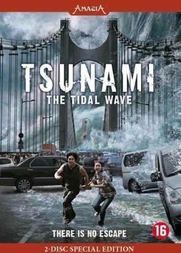 Tsunami - The Tidal Wave   DVD.529