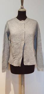 Cardigan d'hiver gris chaud avec laine Sandwich taille S/M, Vêtements | Femmes, Pulls & Gilets, Comme neuf, Taille 36 (S), Sandwich
