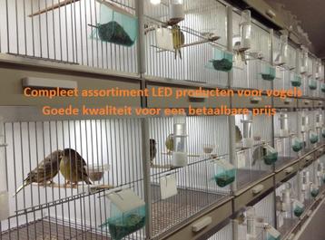 Uw kanaries huisvesten met Avicultuur-LED verlichting, Dieren en Toebehoren