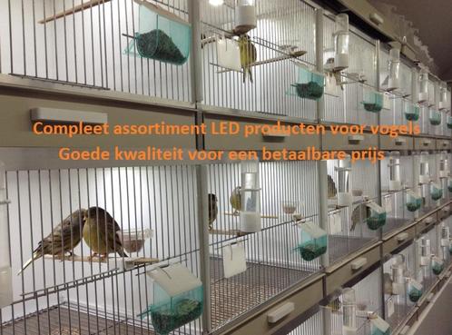 Uw kanaries huisvesten met Avicultuur-LED verlichting, Dieren en Toebehoren, Vogels | Kanaries