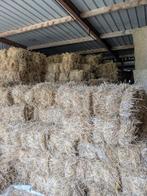 Hooi en stro, Dieren en Toebehoren, Dierenvoeding, Ophalen of Verzenden