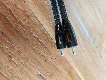 Audioquest Sydney RCA-RCA 0.6m beschikbaar voor biedingen