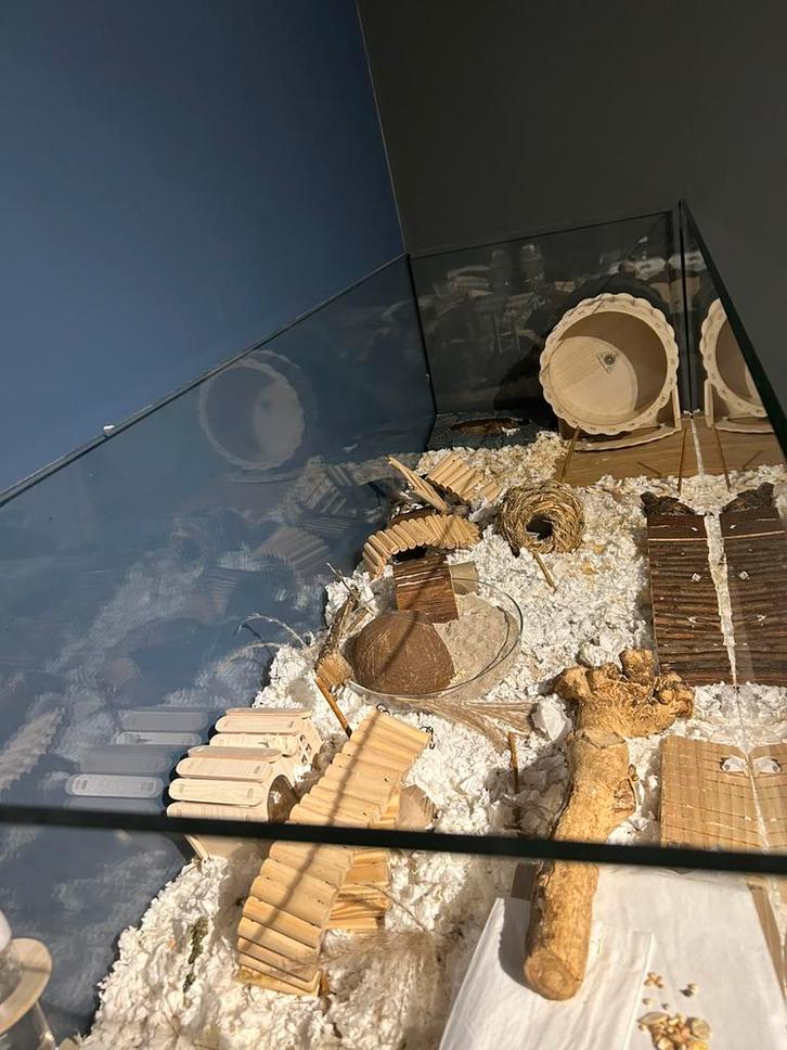 Glazen Terrarium met accessoires, Tickets en Kaartjes, Hotelbonnen