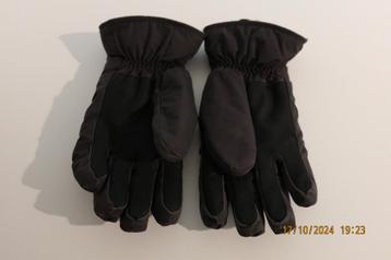 Gants de ski -Homme