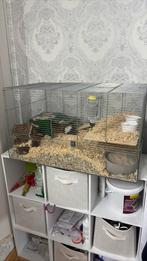 Aqualand knaagdierkooi 78  47,5  44 cm zo goed als nieuw, Dieren en Toebehoren, Ophalen, Zo goed als nieuw, Hamster