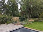 Tuinonderhoud, Tuinonderhoud of Snoeiwerk