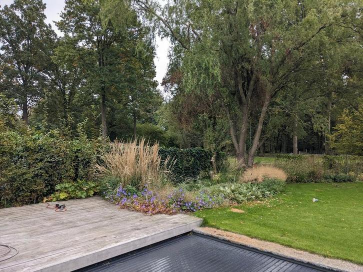 Tuinonderhoud, Diensten en Vakmensen, Tuinmannen en Stratenmakers, Tuinonderhoud of Snoeiwerk