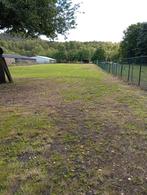 Weiland met stalling te huur, Dieren en Toebehoren, Stalling