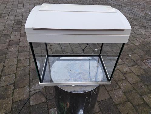 Aquarium SuperFish aqua20.Zie ook mijn andere zoekertjes, Dieren en Toebehoren, Vissen | Aquaria en Toebehoren, Zo goed als nieuw