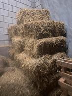 Mooi goud geel stro, Ophalen of Verzenden, Vee
