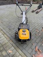 Tuinfrees, Gebruikt, Tuinfrees, Ophalen, Benzine