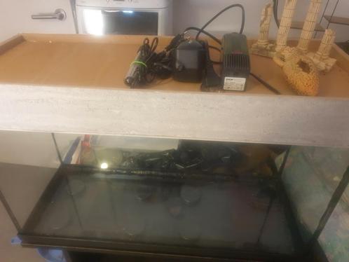 Te koop mooi aquarium 80 cm + toebehoren !!, Dieren en Toebehoren, Vissen | Aquaria en Toebehoren, Gebruikt, Leeg aquarium, Ophalen