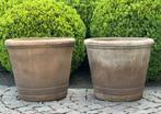 terracotta bloempotten - vorstbestendig - uitstekende staat, Ophalen, Terracotta, Tuin