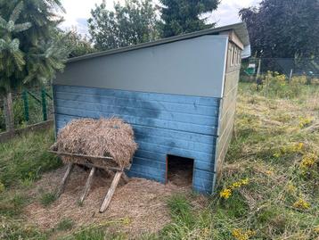 Geiten hok / schapen hok