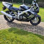 CBR 900 Sc 33, Motos, Motos | Honda, Plus de 35 kW, Super Sport, Particulier, 919 cm³