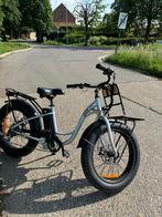 Prachtige unieke elektrische fietsen, Ophalen of Verzenden